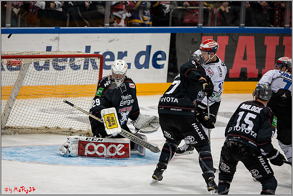 Koelner Haie - Schwenninger Wild Wings, 11.12.2016